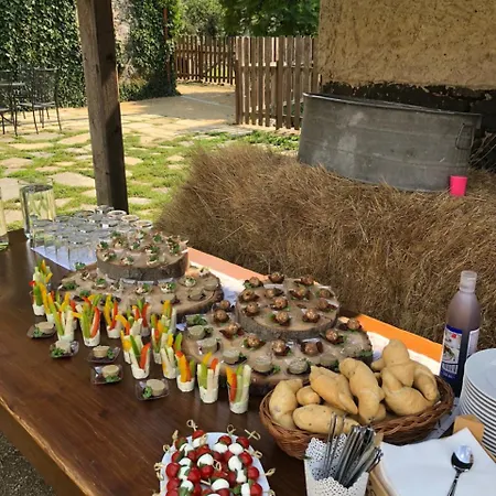 게스트하우스 Statek Jakubov 3*